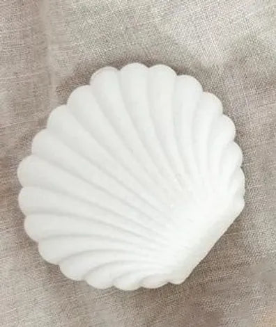 Clam Shell Jewellery Box